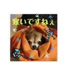 やまむぎちゃん（個別スタンプ：8）
