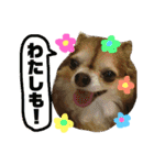 やまむぎちゃん（個別スタンプ：9）