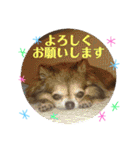 やまむぎちゃん（個別スタンプ：10）