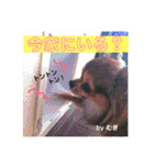 やまむぎちゃん（個別スタンプ：11）