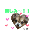 やまむぎちゃん（個別スタンプ：12）