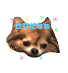 やまむぎちゃん（個別スタンプ：14）