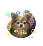 やまむぎちゃん（個別スタンプ：15）