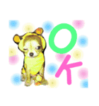やまむぎちゃん（個別スタンプ：24）