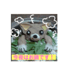 やまむぎちゃん（個別スタンプ：27）