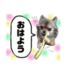 やまむぎちゃん（個別スタンプ：30）