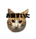 あきぷ（個別スタンプ：7）