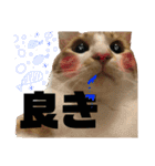 あきぷ（個別スタンプ：15）