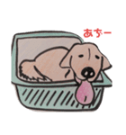 そういちろうさん（個別スタンプ：5）