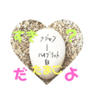 インド孔雀 レオ（個別スタンプ：16）