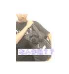 トイプー家族2（個別スタンプ：7）