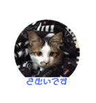 ゆずにゃスタンプ（個別スタンプ：7）