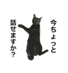黒猫, ころすけ（個別スタンプ：12）