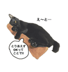 黒猫, ころすけ（個別スタンプ：25）