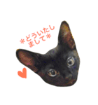 黒猫, ころすけ（個別スタンプ：28）