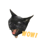黒猫, ころすけ（個別スタンプ：33）