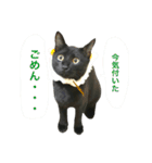 黒猫, ころすけ（個別スタンプ：35）