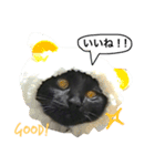 黒猫, ころすけ（個別スタンプ：38）
