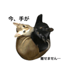 黒猫, ころすけ（個別スタンプ：39）