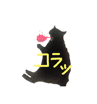 黒猫クロとあんず（個別スタンプ：2）