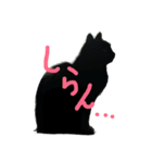 黒猫クロとあんず（個別スタンプ：4）