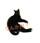黒猫クロとあんず（個別スタンプ：5）