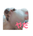 我が家の王子様ぷりんくんスタンプ（個別スタンプ：7）
