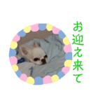 我が家の王子様ぷりんくんスタンプ（個別スタンプ：17）