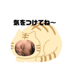 ゆらぴスタンプ！！！！！（個別スタンプ：13）