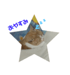 みんなが好きな猫（個別スタンプ：4）
