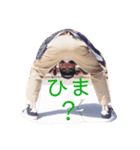 栄祐（個別スタンプ：3）