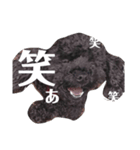 ベティちゃん（個別スタンプ：1）