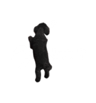 ベティちゃん（個別スタンプ：3）