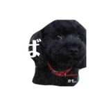 ベティちゃん（個別スタンプ：5）
