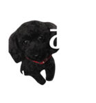 ベティちゃん（個別スタンプ：7）