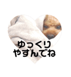 ちょっちゃんスタンプセット（個別スタンプ：18）