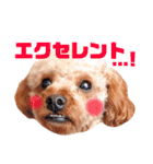 ちょっちゃんスタンプセット（個別スタンプ：24）