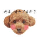 ちょっちゃんスタンプセット（個別スタンプ：28）