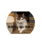 ウシニャンコ（個別スタンプ：2）