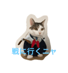 ウシニャンコ（個別スタンプ：7）