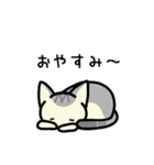 【毎日使える】ちびねこさん（個別スタンプ：14）