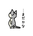 【毎日使える】ちびねこさん（個別スタンプ：21）