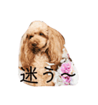 大好きしょこたんパート2（個別スタンプ：1）