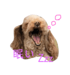 大好きしょこたんパート2（個別スタンプ：4）
