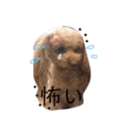 大好きしょこたんパート2（個別スタンプ：6）
