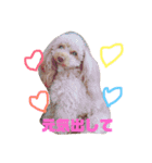 大好きしょこたんパート2（個別スタンプ：8）