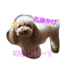 大好きしょこたんパート2（個別スタンプ：15）