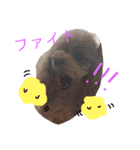 大好きしょこたんパート2（個別スタンプ：16）