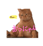 キャロとピノ（個別スタンプ：7）