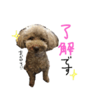 キャロとピノ（個別スタンプ：11）